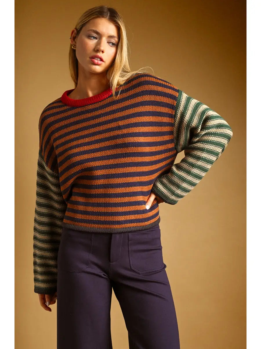 Multi Color Striped Crew Neck Sweater
